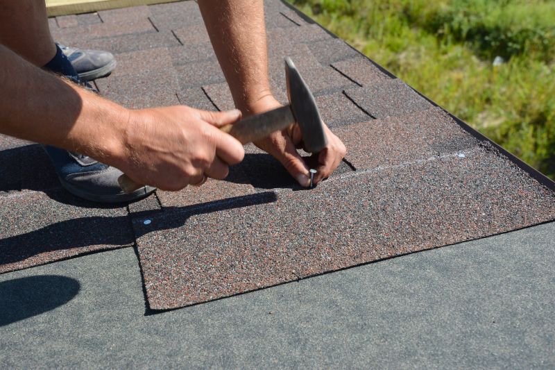 Professional Asphalt Roof Repair 1