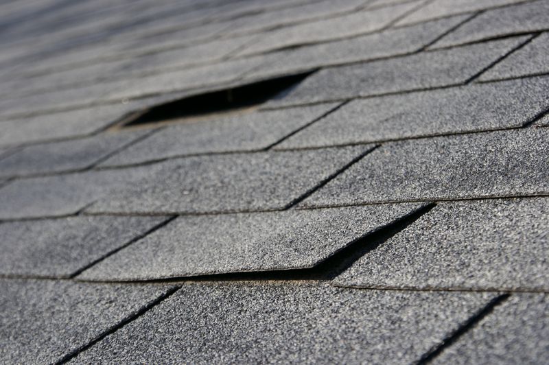 Professional Asphalt Roof Repair 2