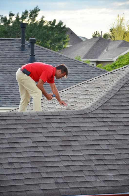Professional Asphalt Roof Repair 3