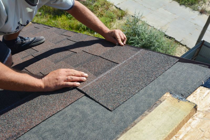 Expert Asphalt Roof Repair 1